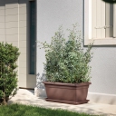 FIORIERA-ANTHEA ambient.jpg